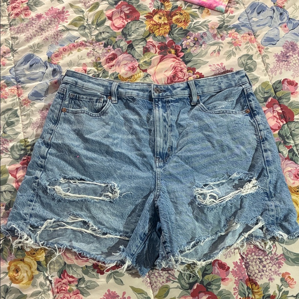 American Eagle Outfitters Distressed Light Blue Denim Cutoff Women's Shorts